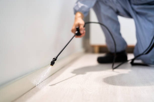 Licensed Pest Control service in Blue Mound, IL - Show Me Pest Control
