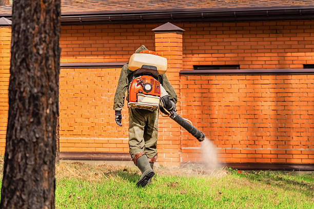 Bed Bug Clearance Verification and Documentation in Blue Mound